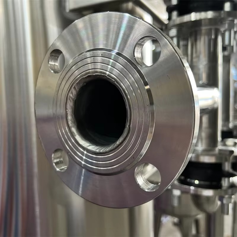 Stainless steel filter vessel flange connection detail