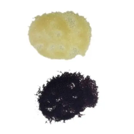 Lewatit Germany ion exchange resin for water treatment | SWFI