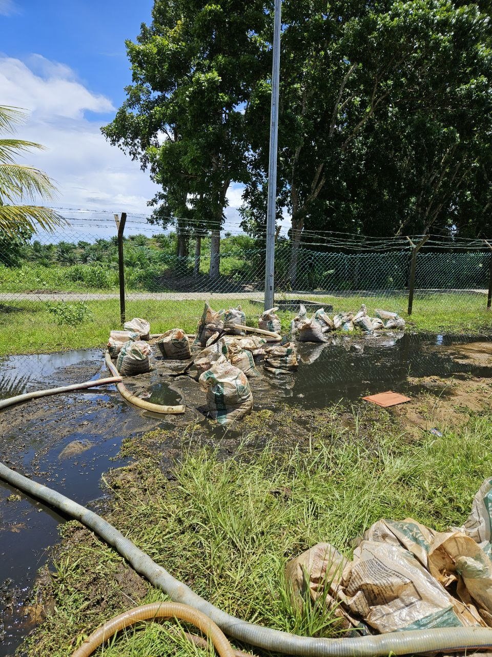 Handling of removed filter media at the water treatment site